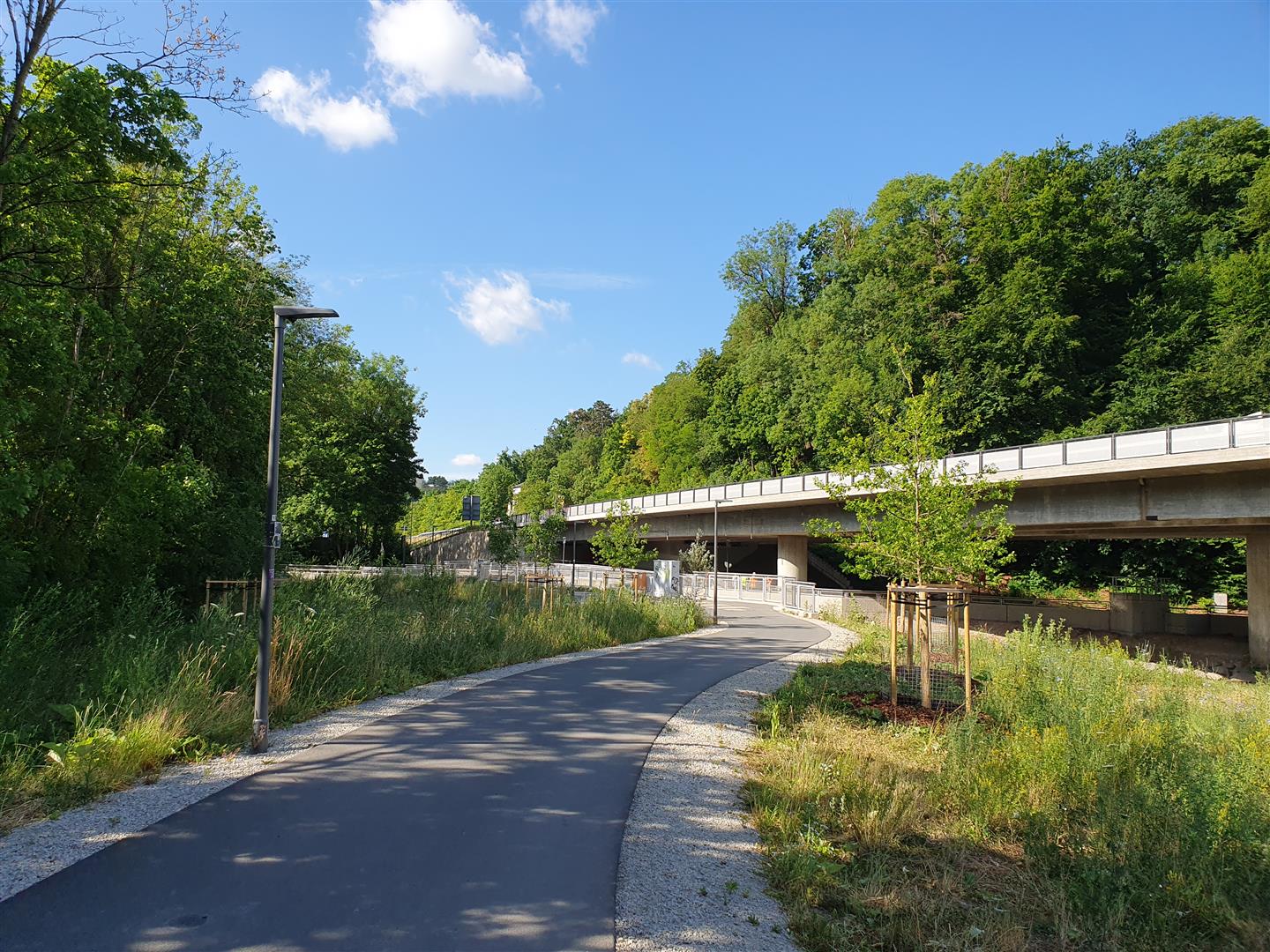 Foto: Bepflanzungen entlang des Geh- und Radwegs