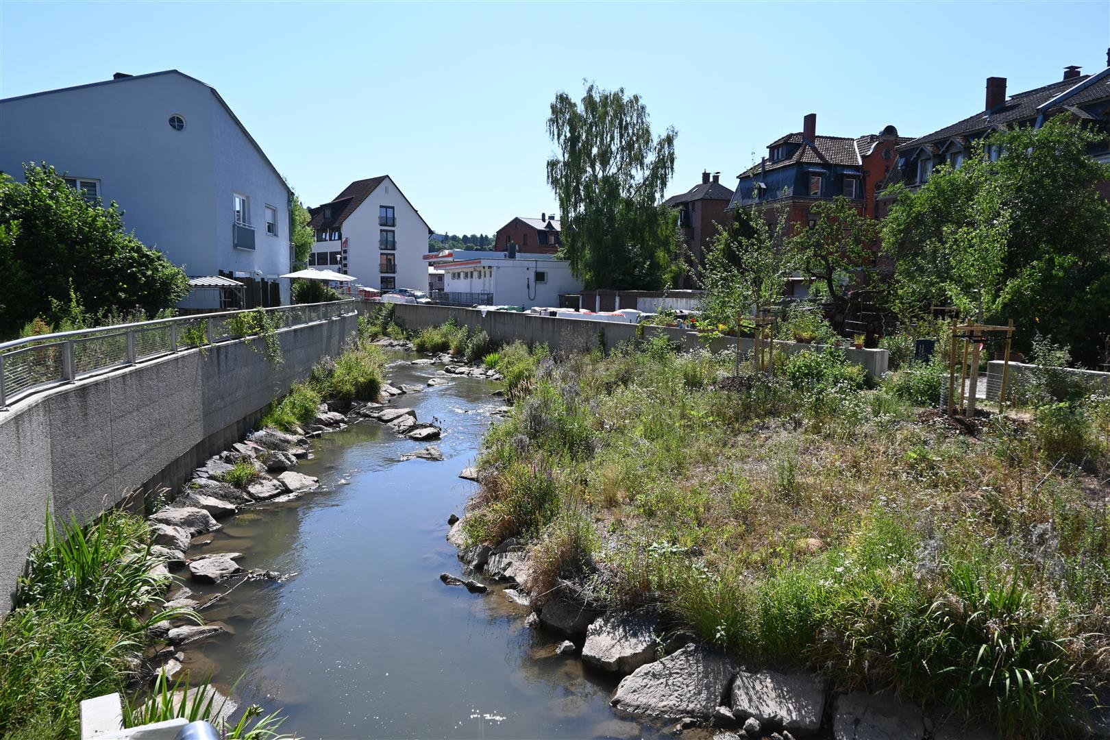 Foto: Bepflanzungsmaßnahme Nähe Raststraßenbrücke