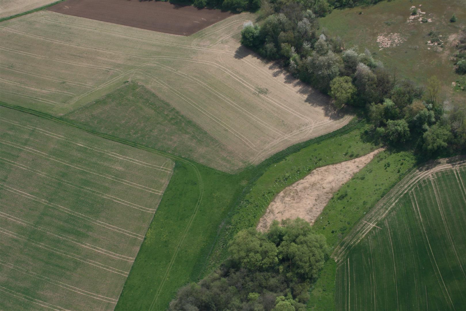 Luftbild: Auwald-Ersatzpflanzung Fläche 1 an der Regnitz