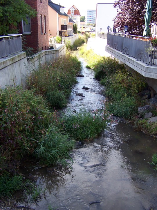 Blick von der Coburger Brücke auf die Röden Blick von der Coburger Brücke auf die Röden