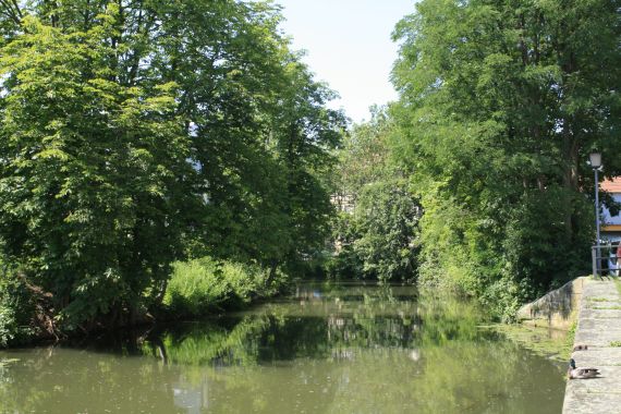 Der Ludwig-Donau-Main-Kanal in Bamberg